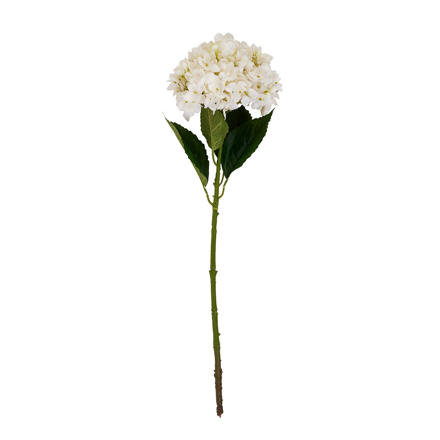 Hydrangea Stem - White  22632 Hill Interiors Faux Flowers Cote Furniture