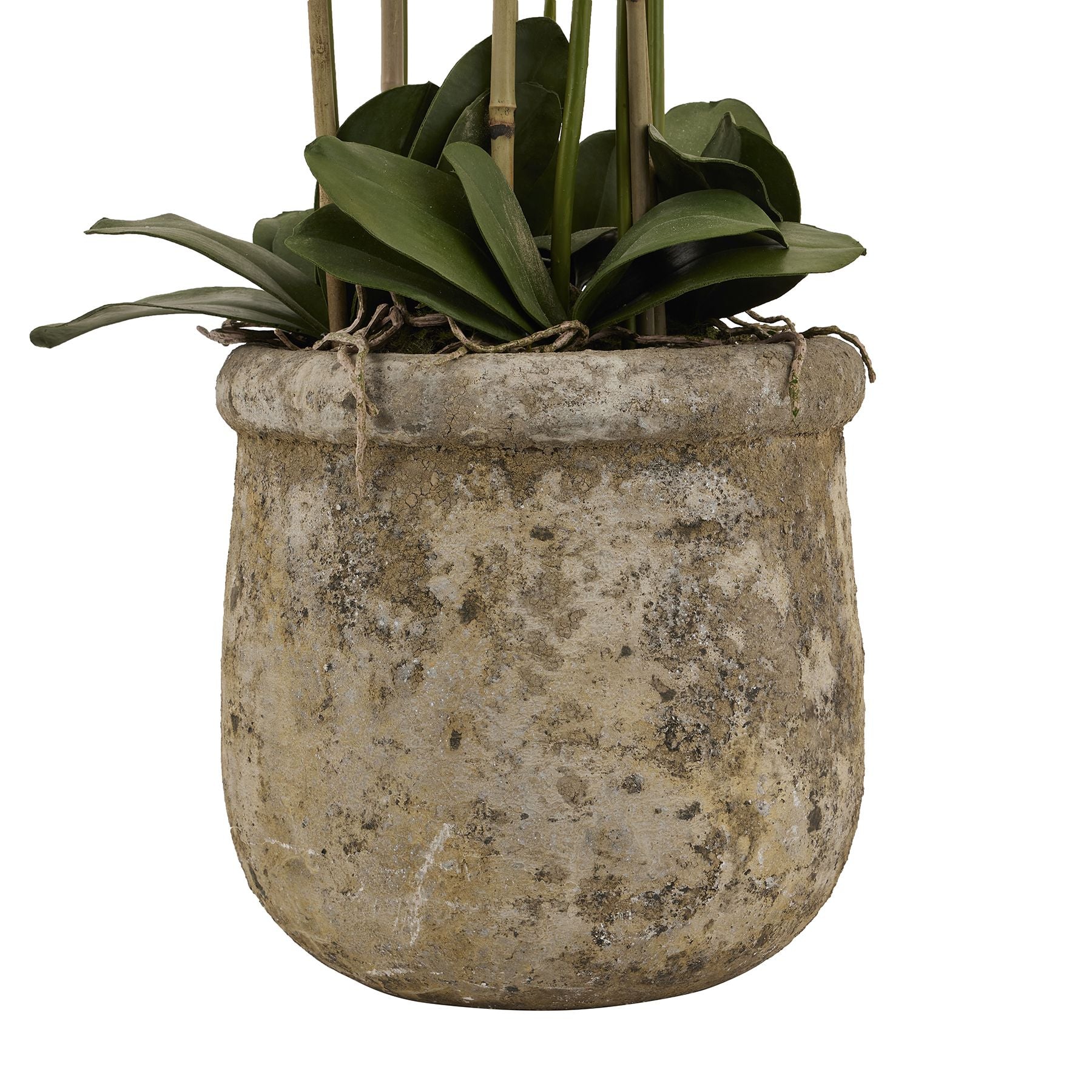 Orchid In Antique Stone Pot (Large) - White 22641 Hill Interiors Faux Flowers Cote Furniture