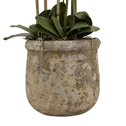 Orchid In Antique Stone Pot (Large) - White 22641 Hill Interiors Faux Flowers Cote Furniture