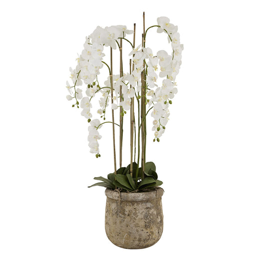 Orchid In Antique Stone Pot (Large) - White 22641 Hill Interiors Faux Flowers Cote Furniture