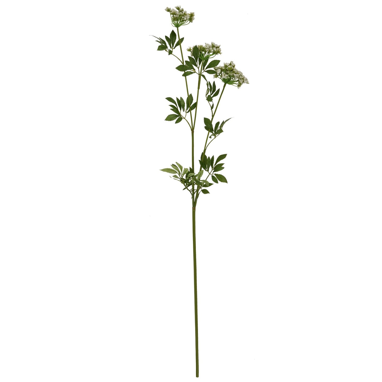 Faux Cow Parsley Ammi - White 22642 Hill Interiors Faux Flowers Cote Furniture