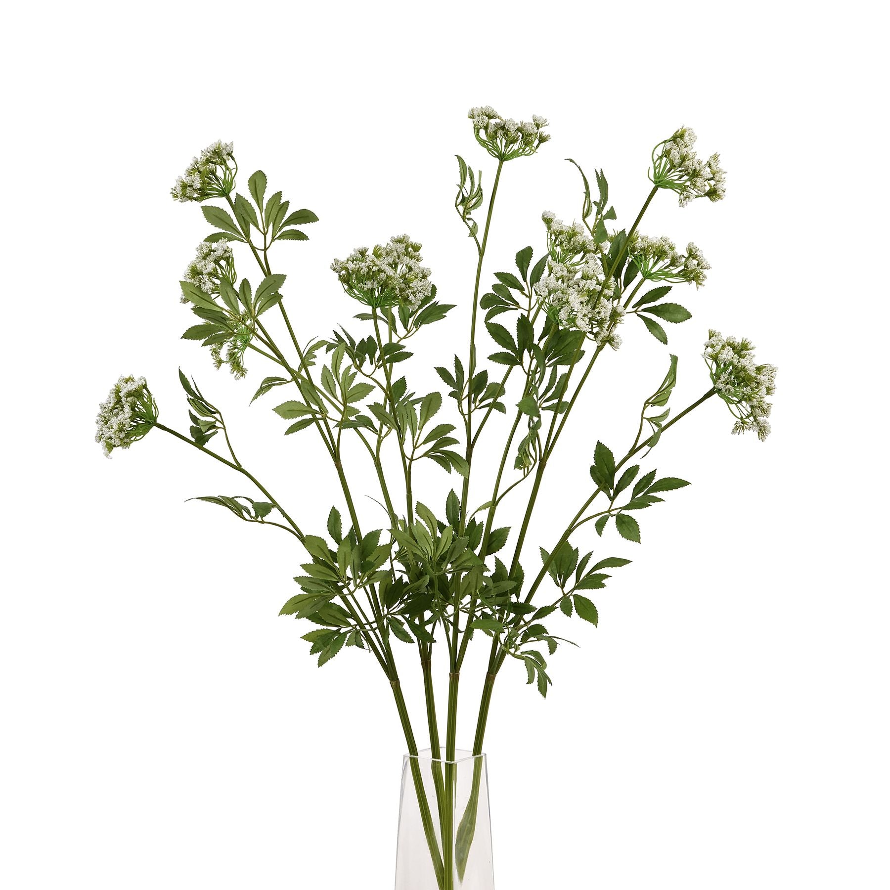 Faux Cow Parsley Ammi - White 22642 Hill Interiors Faux Flowers Cote Furniture