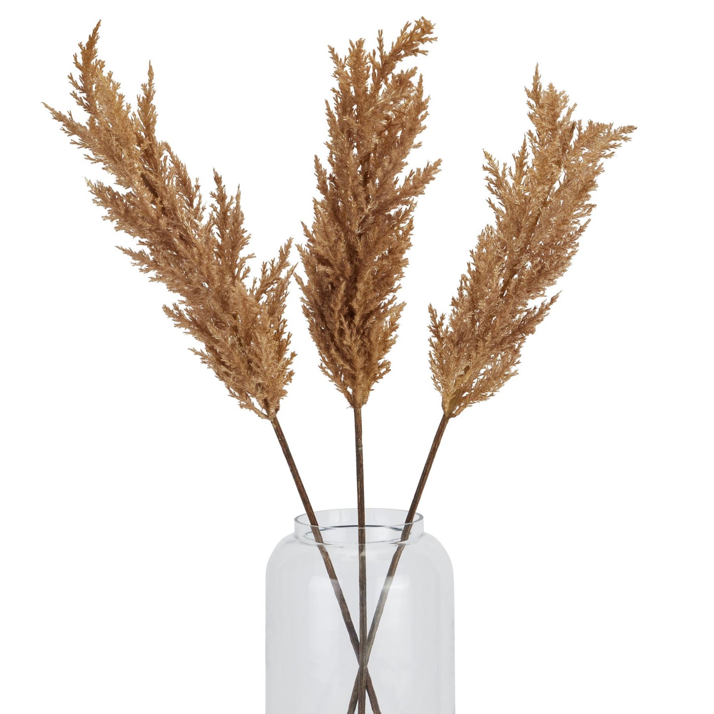 Faux Dried Pampas Grass Stem - Taupe  22713 Hill Interiors Faux Flowers Cote Furniture