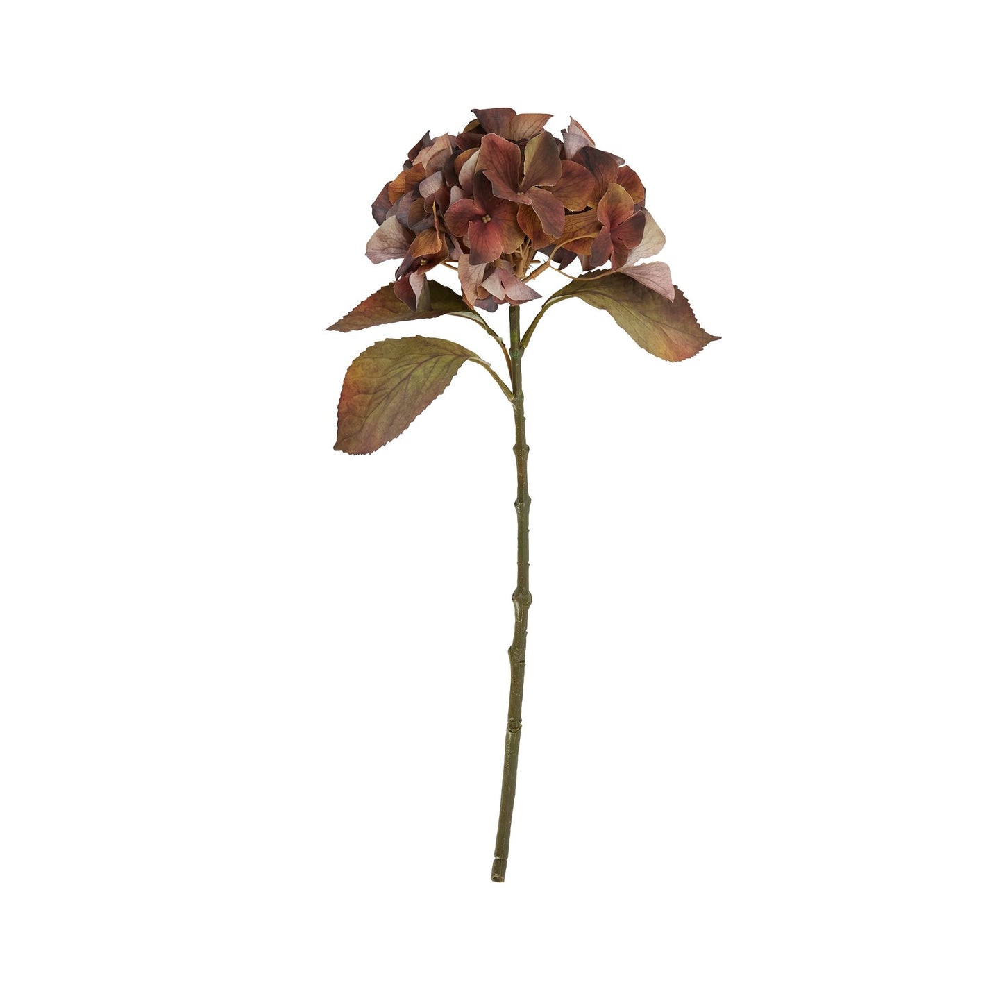 Single Hydrangea Stem - Mixed Autumn Browns  22731 Hill Interiors Faux Flowers Cote Furniture