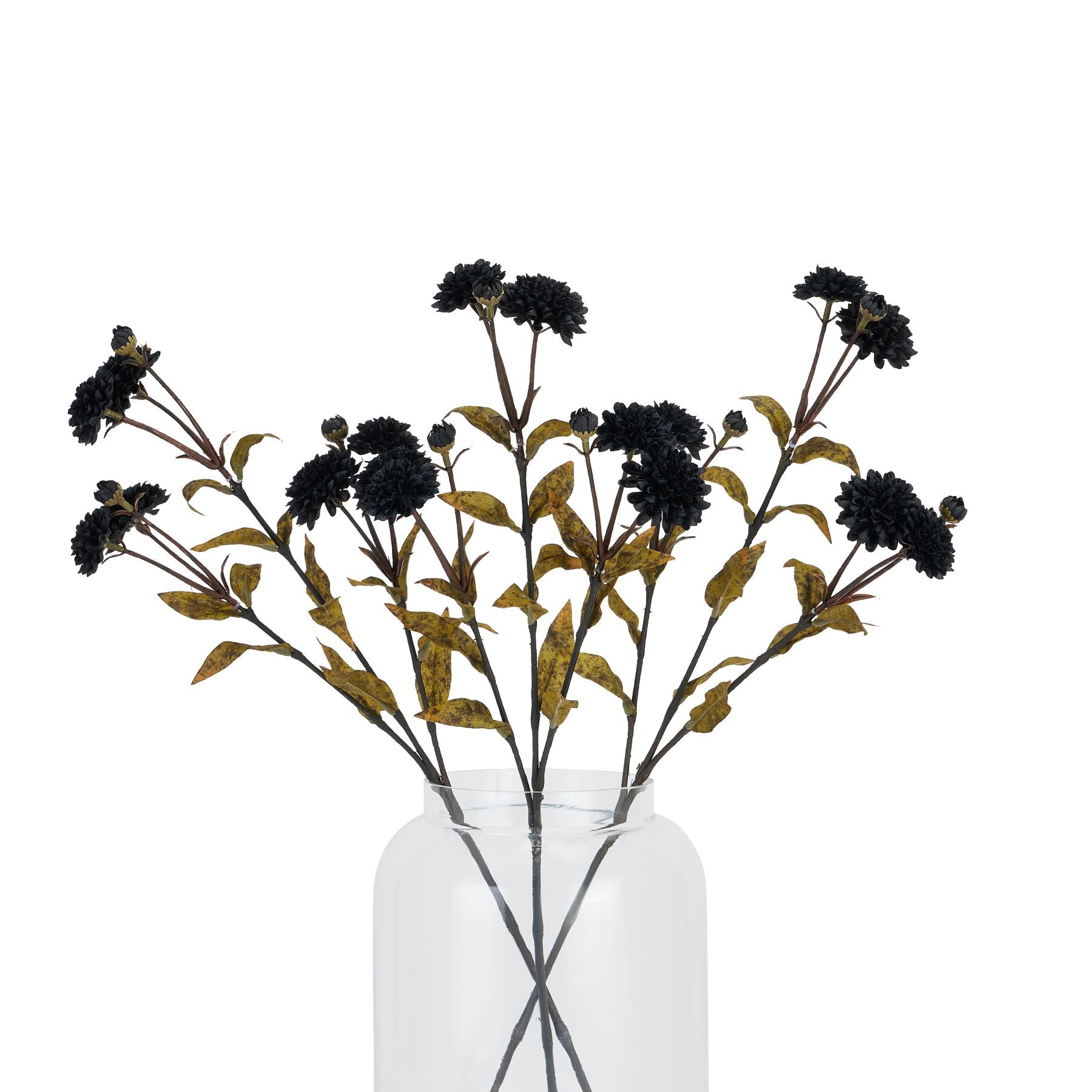 Chrysanthemum - Black  22733 Hill Interiors Faux Flowers Cote Furniture