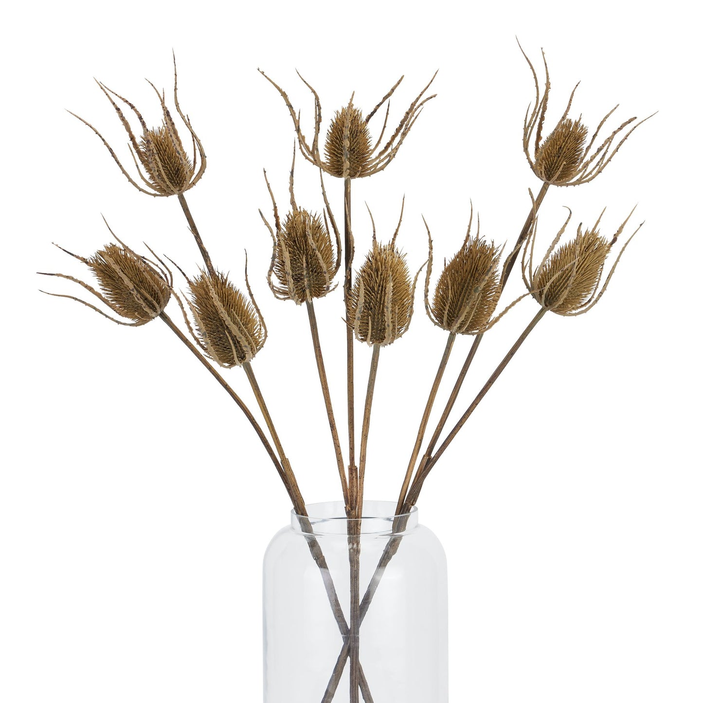 Large Triple Teasle Stem - Brown 22734 Hill Interiors Faux Flowers Cote Furniture