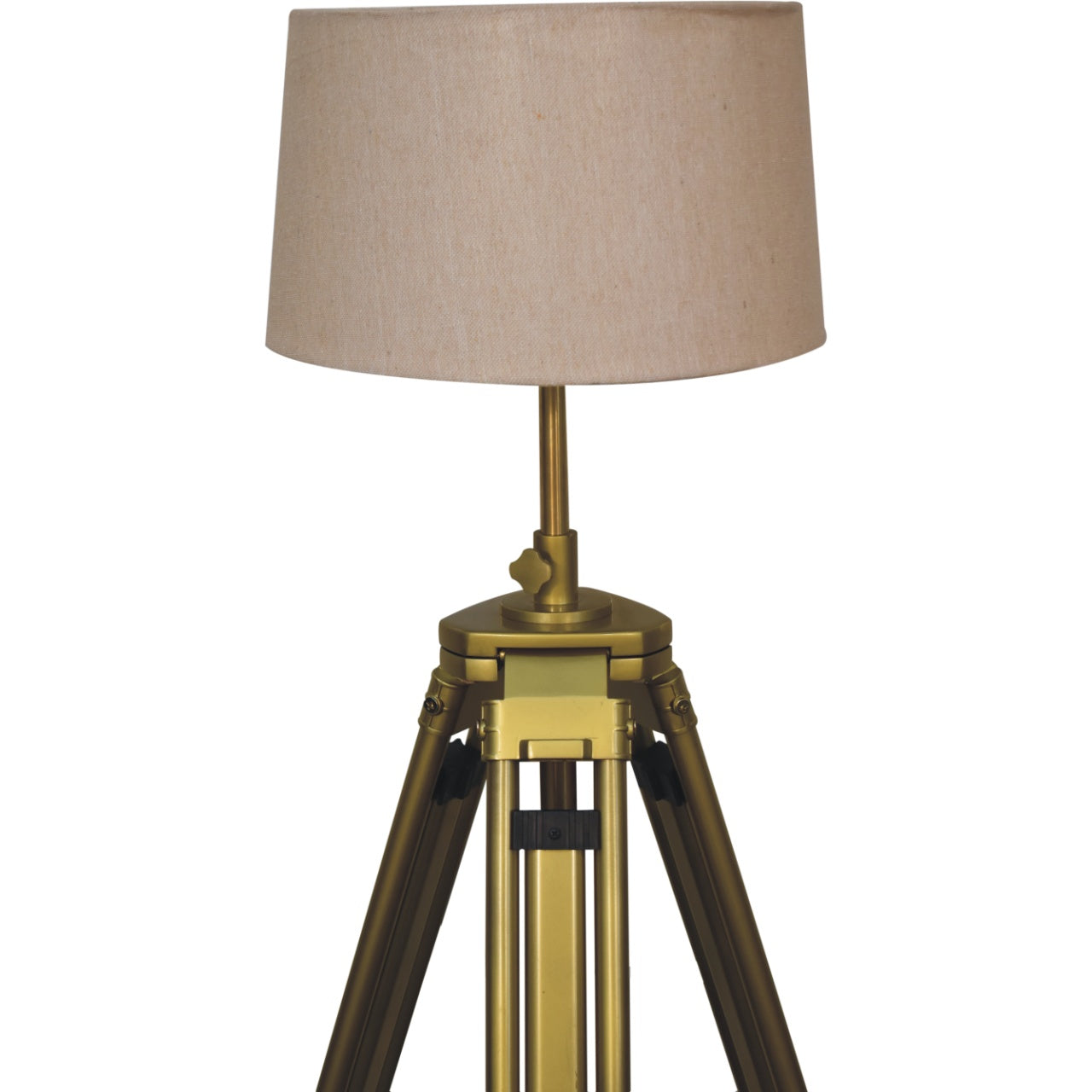 Cote Furniture | Floor Lamp - Brass Plated Floor Lamps IN3250